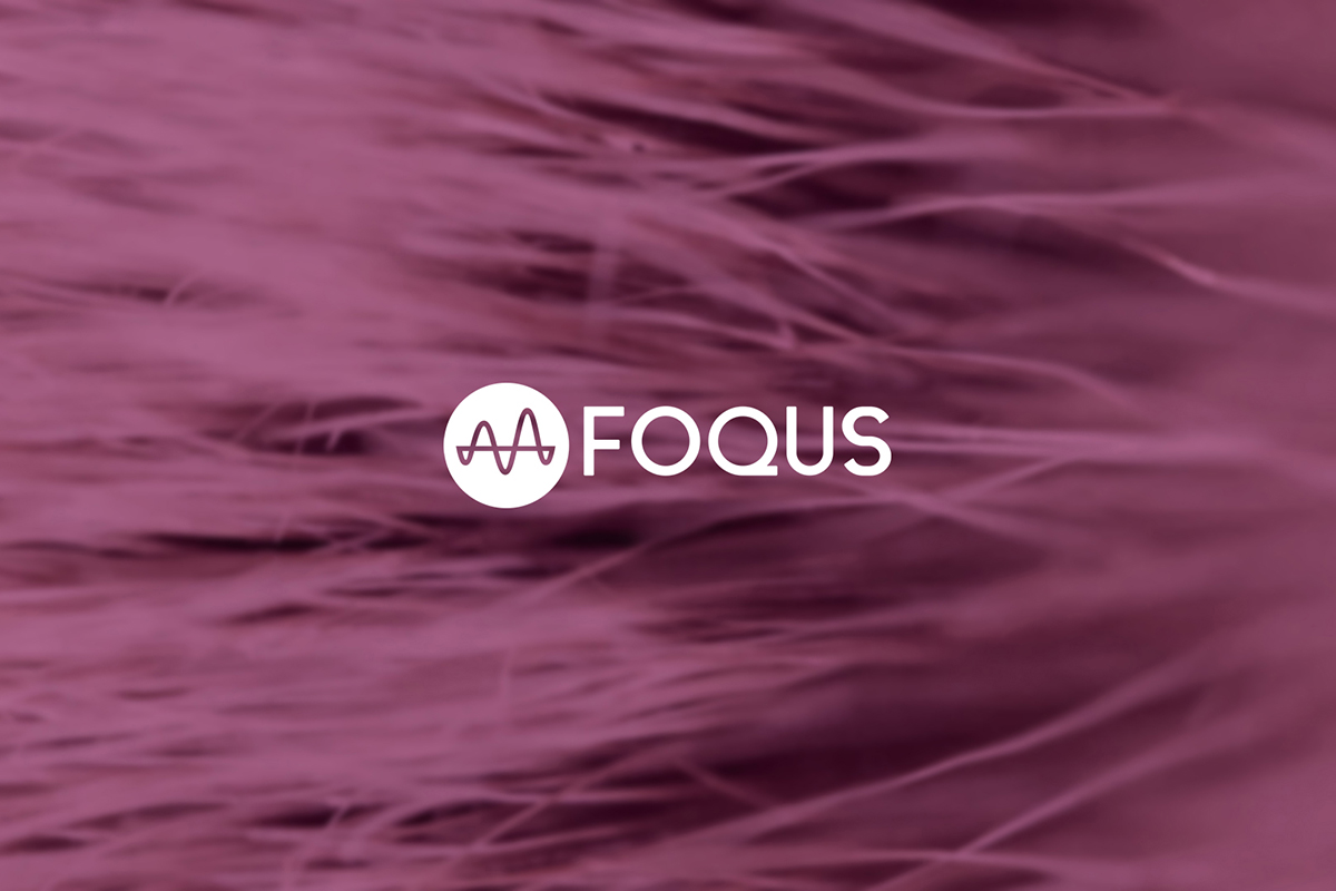 MQA Focus